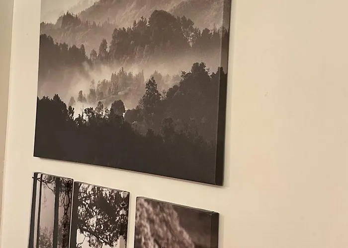 Douglas Chalet Oignies